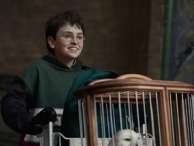 HBO Max Transforms Harry Potter Rewatch Podcast into Companion for New TV Series