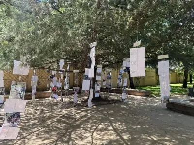 El Auge de la Agricultura Urbana: Cultivo, Educación y Conexión Comunitaria