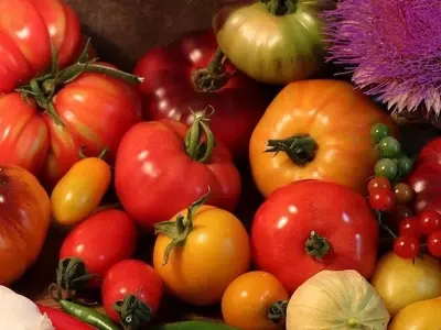 Descubriendo la riqueza de los tomates catalanes: un viaje por sus variedades y sabores únicos