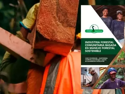 Innovación Forestal Comunitaria en el Atrato: Sostenibilidad y Progreso