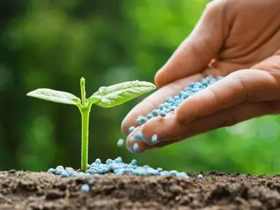 Primeras ayudas para fertilizantes en España: Un alivio para el sector agrario ante la crisis