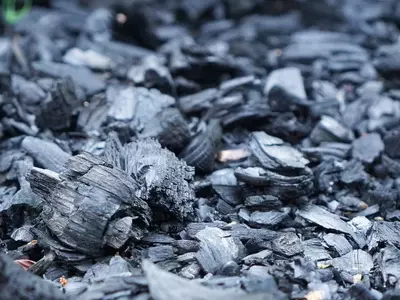 Biochar: El Secreto Ancestral para Suelos Fértiles y Resilientes