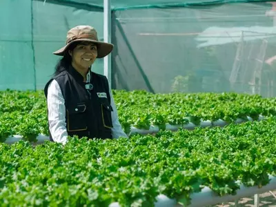 Mendoza Impulsa la Hidroponía con un Centro de Innovación