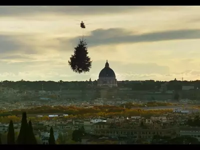 A Soothing Yet Subdued Documentary on the Enigmatic World of Trees