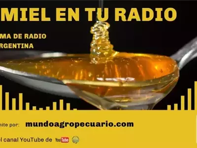 “La miel en tu radio” Destaca la Apicultura en "Mundo Agropecuario"