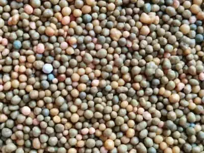 Brasil Impulsa la Producción Nacional de Fertilizantes para Reducir la Dependencia Externa