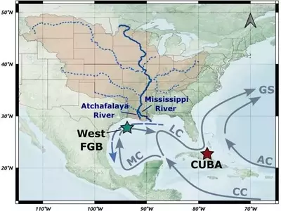 Fertilizantes y Calor Extremo Deterioran Arrecifes de Coral en el Golfo de México
