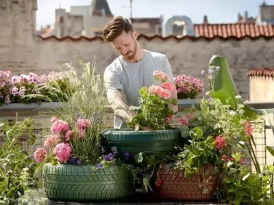 Recuperando Jardines Tras la Ola de Calor: Guía Esencial