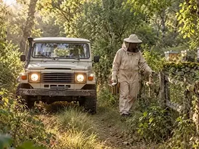 La Dulzura Natural de Galicia: Un Viaje Apícola entre Robles y Castaños