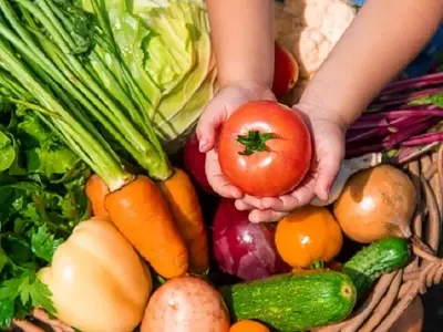Guía Definitiva para el Cultivo de Hortalizas de Raíz en Otoño e Invierno