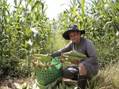 De jornalero a líder agrícola: La inspiradora trayectoria de Rubisper Udal