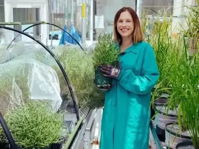 Salicornia: la promesa de una agricultura resiliente en suelos salinos