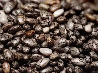 Guía Integral para el Cultivo Casero de Chía: De la Semilla a la Mesa