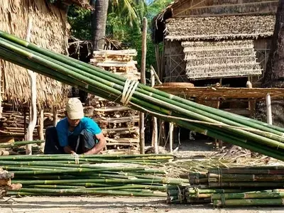 Innovación y Políticas para el Biocarbón de Bambú: Un Análisis Profundo