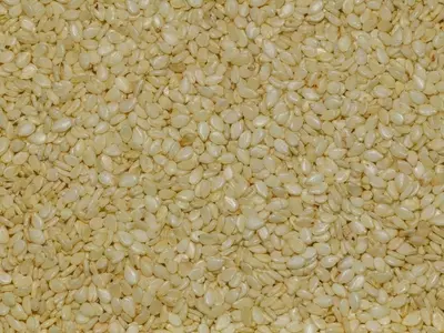 Sésamo: El Pequeño Gigante de la Nutrición para tu Salud