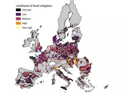 Forrajes y Trébol: Una Alternativa Proteica Sostenible para Europa