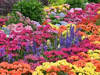 Secretos para Extender la Belleza Floral de tu Jardín