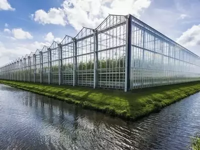 Invernaderos: Integración Territorial para Optimizar Recursos Agrícolas