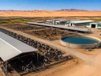 Marruecos Impulsa la Agricultura con Agua de Mar Desalada en Dajla