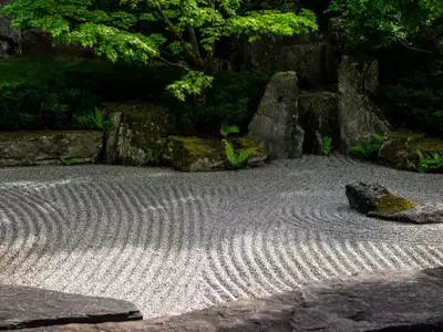 Jardinería Tranquila: Creando Oasis de Calma y Bienestar en Casa