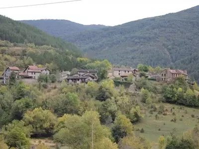 Pinos: Consideraciones Críticas para su Ubicación y Repercusiones Ambientales