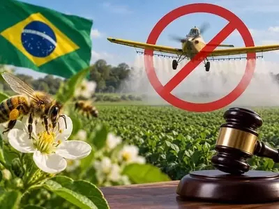 Brasil restringe fumigación aérea de neonicotinoides