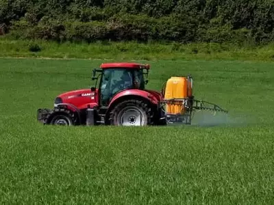 Fertilizante multinutriente impulsa el rendimiento del maíz de secano