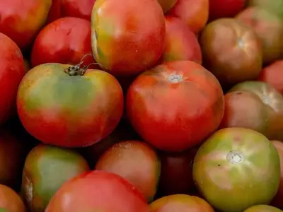 El Experimento Espacial de Tomates de la NASA: Un Viaje Educativo Interplanetario
