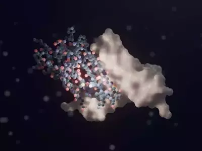 Innovación biotecnológica: Una nueva estrategia para combatir el hongo del añublo en cereales