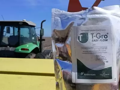 Innovadora Fórmula Seca de Trichoderma Transforma la Siembra de Maíz