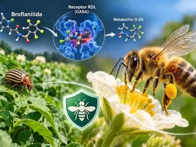 Investigadores revelan método para mitigar el riesgo de la broflanilida para las abejas