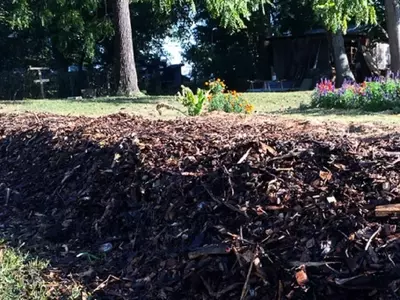 Revolucione Su Jardín: La Técnica Sheet Mulching para un Suelo Fértil sin Esfuerzo