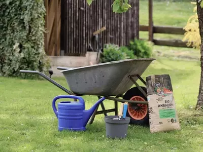 Guía Integral para la Fertilización de Plantas en Invierno y al Final de la Estación Fría