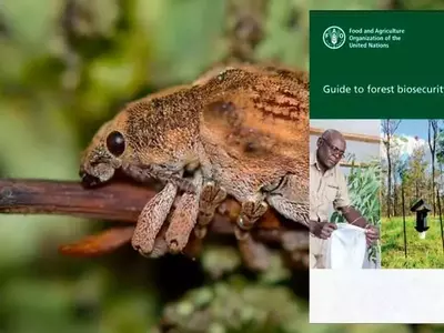 Guía Integral para la Bioseguridad Forestal Global