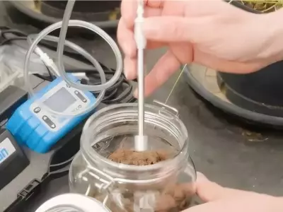 El aroma del suelo como indicador de su vitalidad microbiana