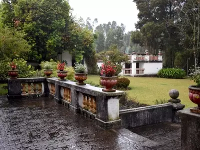 El Enigmático Perfume de la Tierra Mojada: Desvelando el Petricor