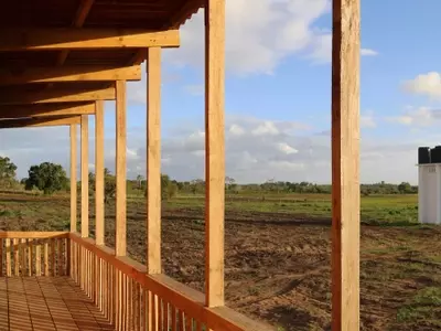 El Bambú: Un Pilar para la Sostenibilidad y la Resiliencia en América Latina