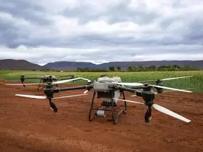 Optimización del Riego con Sensores para Tomates y Uvas: Un Estudio Innovador en Italia