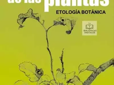La intrincada vida de las plantas: etología botánica y su evolución