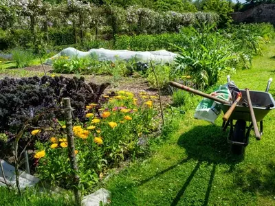 Maximizando el potencial de tu huerto urbano: Estrategias de cultivo en espacios reducidos