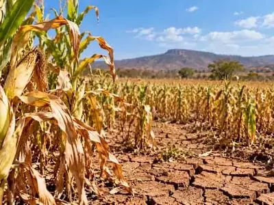 La sequía en Brasil aumenta el riesgo para la agricultura familiar
