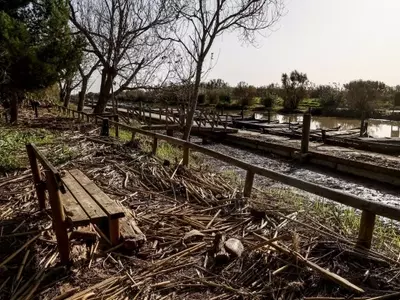 Campaña Nacional para un Entorno Urbano Más Verde