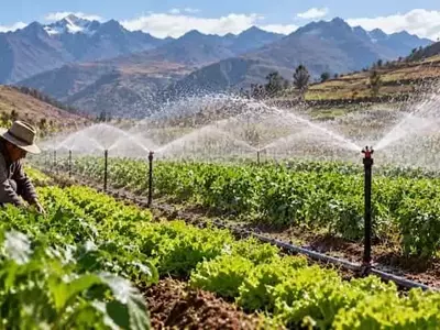 Revolución Agrícola en los Andes Peruanos: Riego por Aspersión Multiplica Cosechas hasta un 133%