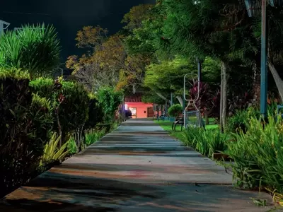 Los Secretos Nocturnos de tu Jardín: Guía Completa para un Cuidado Óptimo