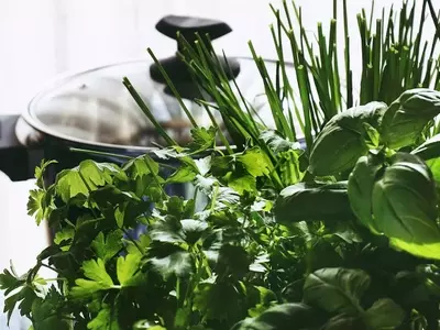 Guía Completa para Cultivar un Jardín de Hierbas Aromáticas en Casa
