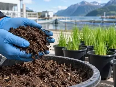 Límites del Lodo de Piscicultura como Fertilizante Directo