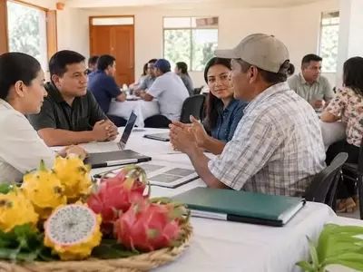 Ecuador avanza en la investigación de pitahaya para combatir nematodos y mejorar la producción