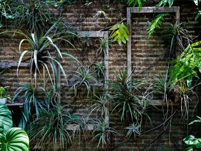 Amplía Visualmente tu Jardín: Trucos de Diseño para Maximizar el Espacio Exterior