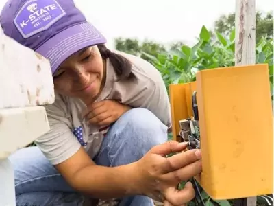 Micrófonos en Plantas de Soja: Una Nueva Herramienta para Detectar Plagas Ocultas