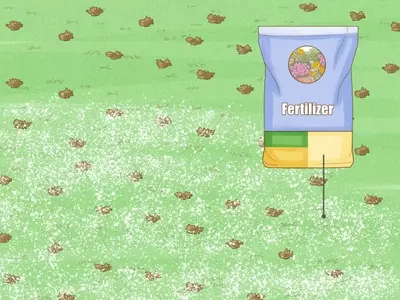Oxigenación del Suelo con Nanoburbujas para Jardines Saludables